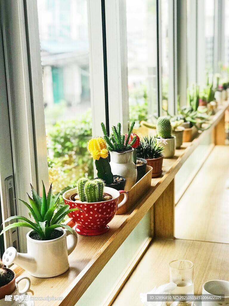 窗边绿植装点温馨小角落