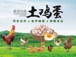天然土鸡蛋 农家散养品质