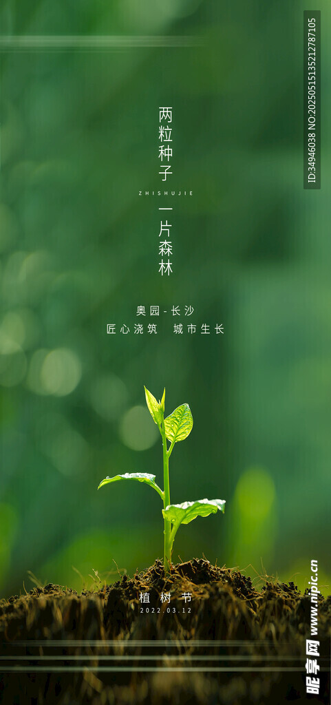 植树节海报