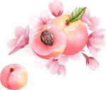 水蜜桃