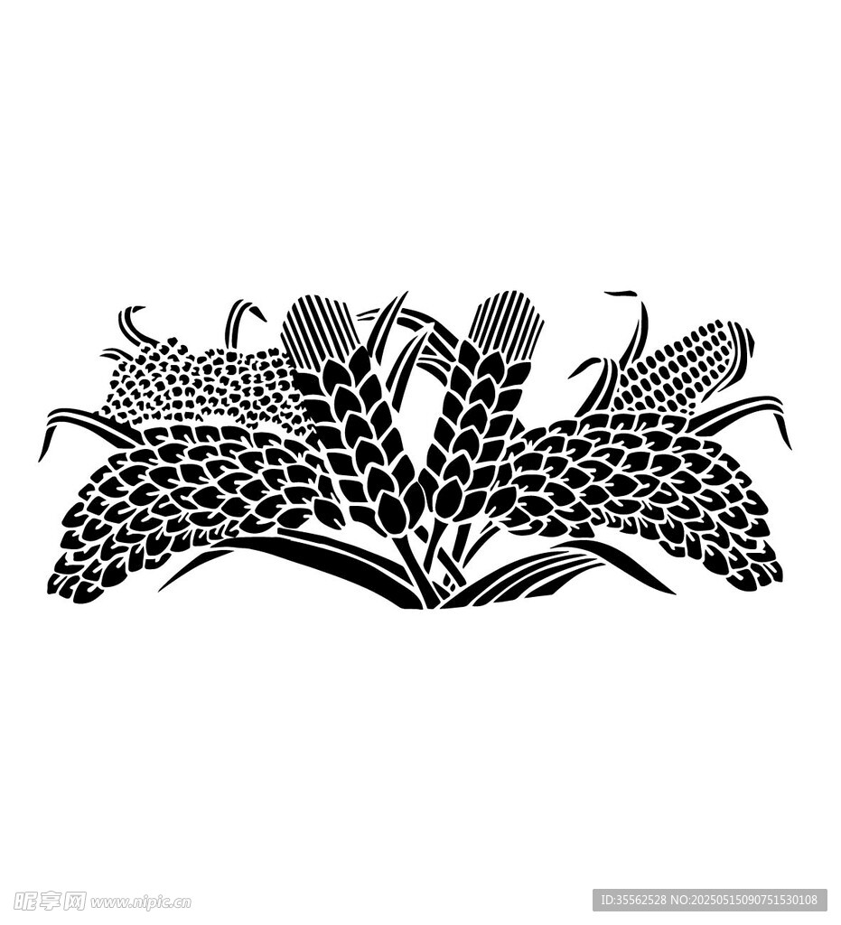 玉米插画