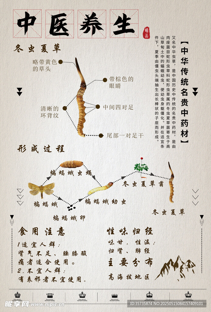 中医养生药材图示