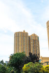 城市高楼与绿植景观