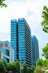 现代都市高楼与绿树景观