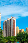 城市高楼与蓝天绿树景观