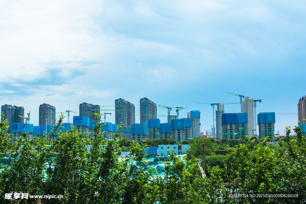 城市远景与前景绿植景观