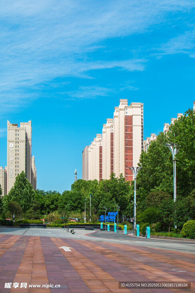 城市道路旁的高楼与绿树