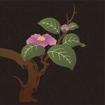 枝头绽放的紫色花朵