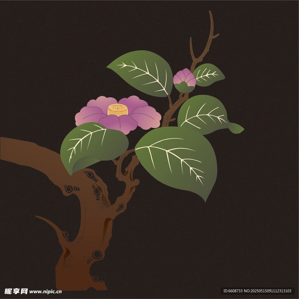 枝头绽放的紫色花朵