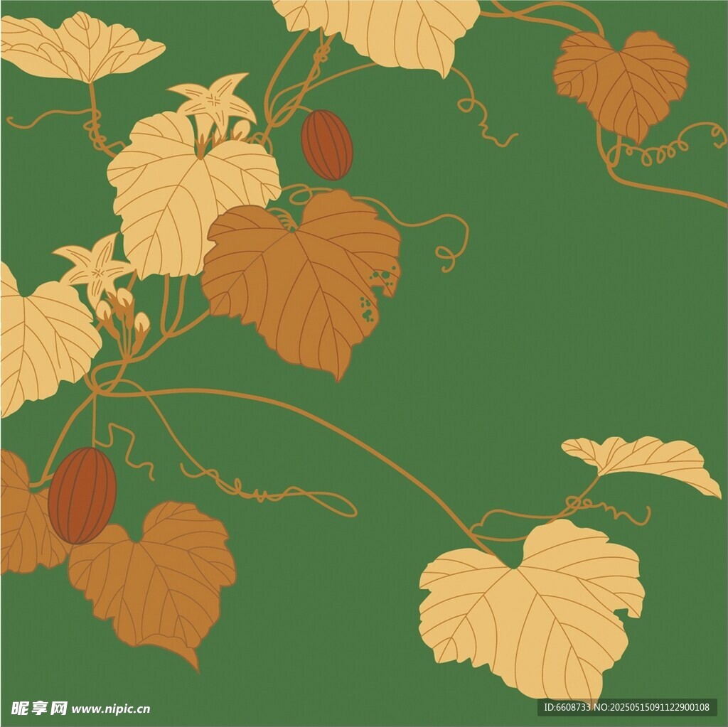 秋日藤蔓果实插画