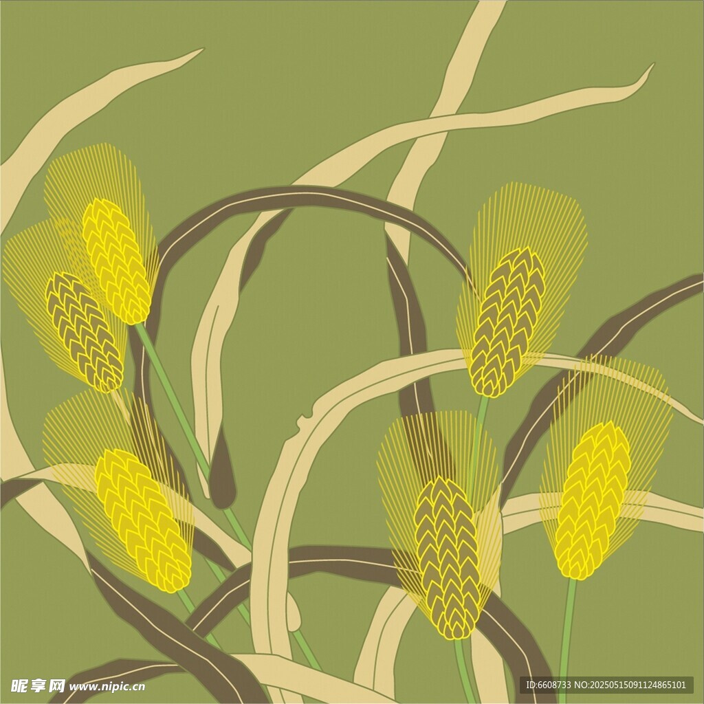 手绘玉米植株插画