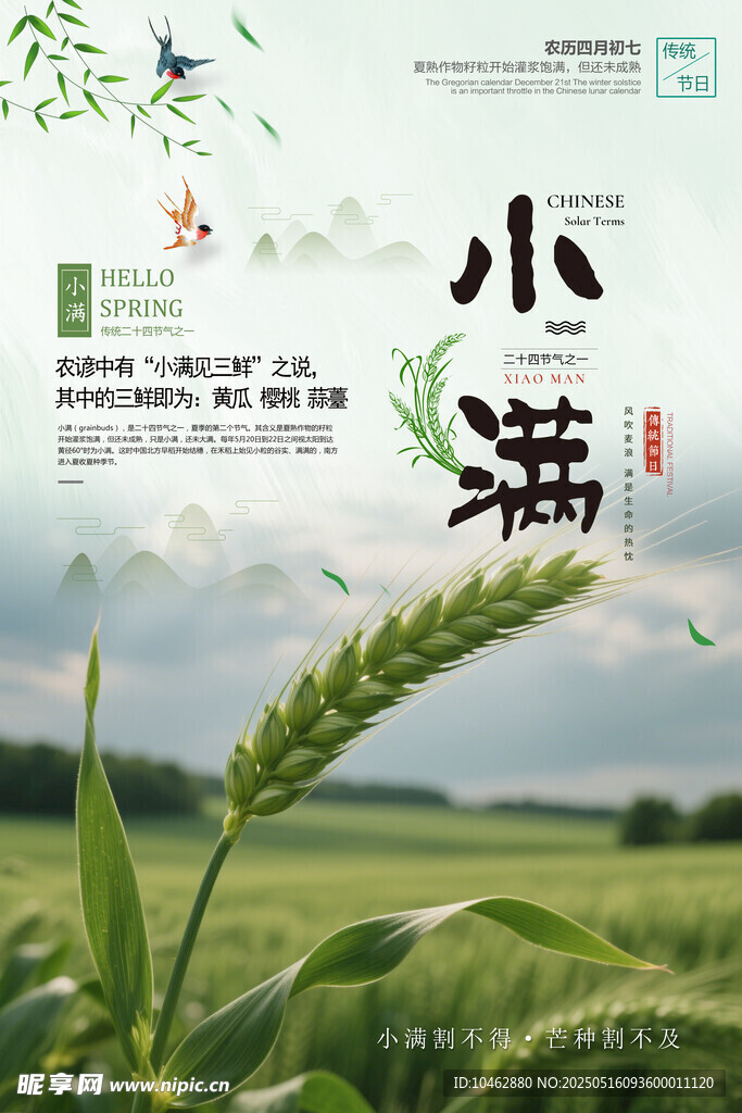 二十四节气小满海报