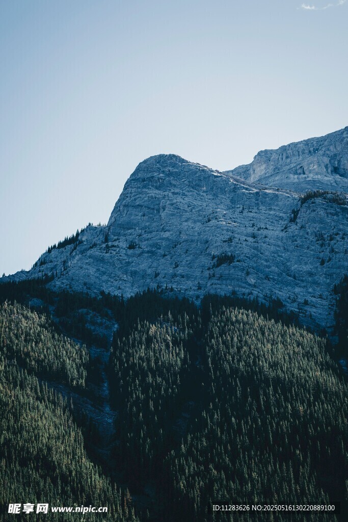 巍峨山峦与葱郁森林景观
