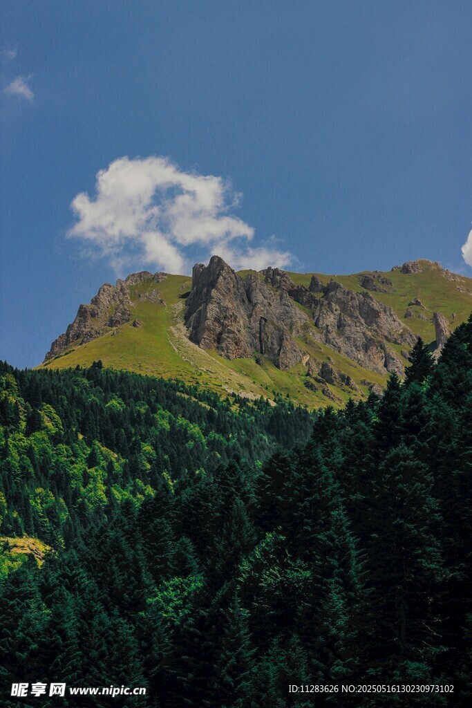 青山绿树间的秀丽山峰