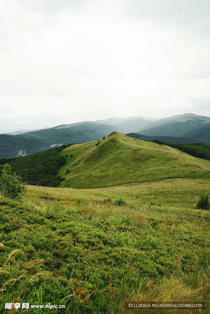 绿意盎然的山间美景