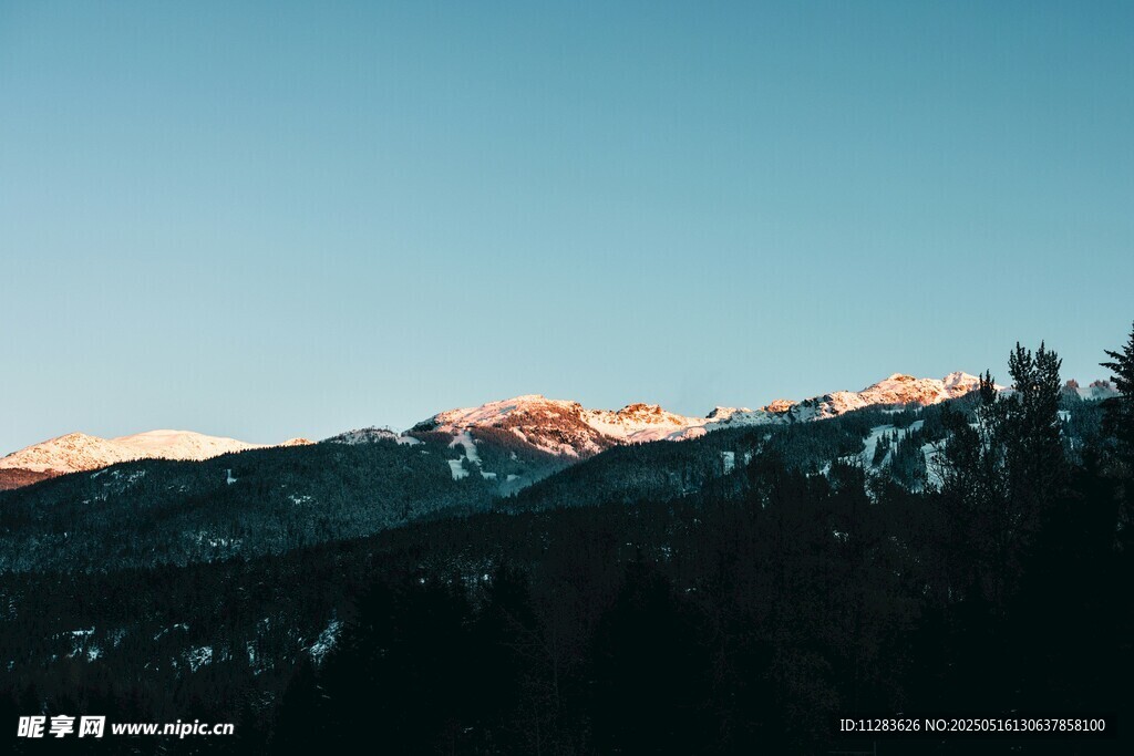 夕阳下的雪山森林美景