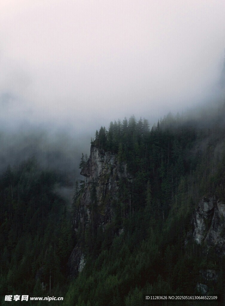 云雾缭绕的山林美景