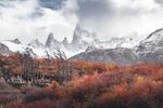 秋日雪山下的绚烂山林