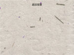 浅色纹理墙面细小杂质
