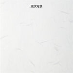 白色纹理瓷砖展示