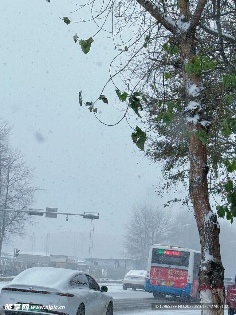 雪天城市道路行车景象