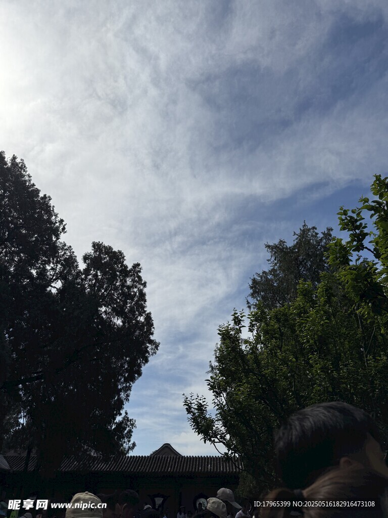 蓝天白云下的绿树景致