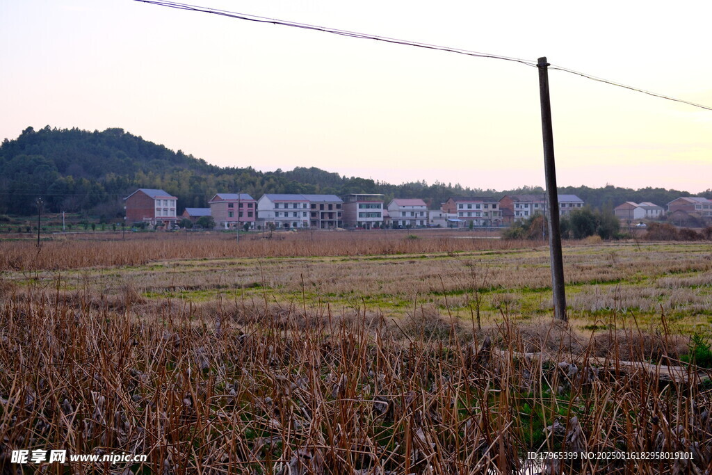 田野乡村风光远景图