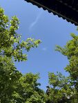 屋檐下的绿树蓝天
