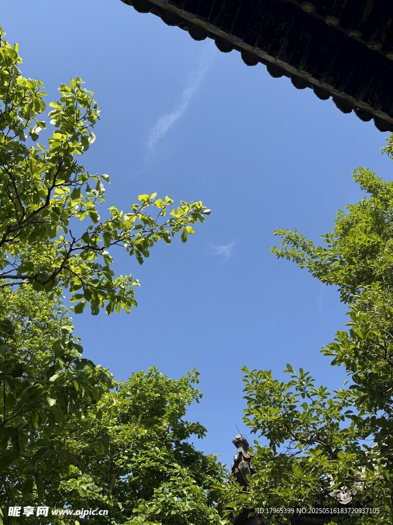 屋檐下的绿树蓝天