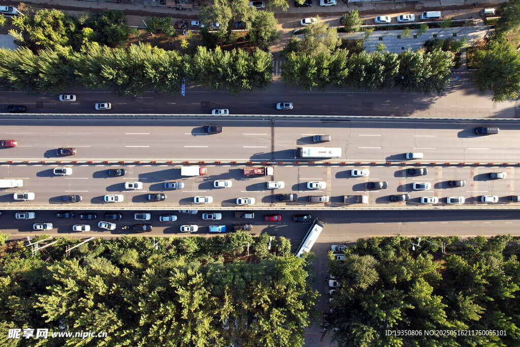 城市道路车流与绿树景观