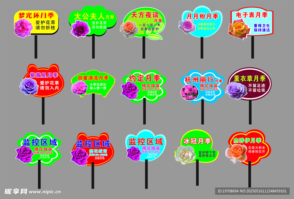 多彩创意手举牌展示月季花草牌