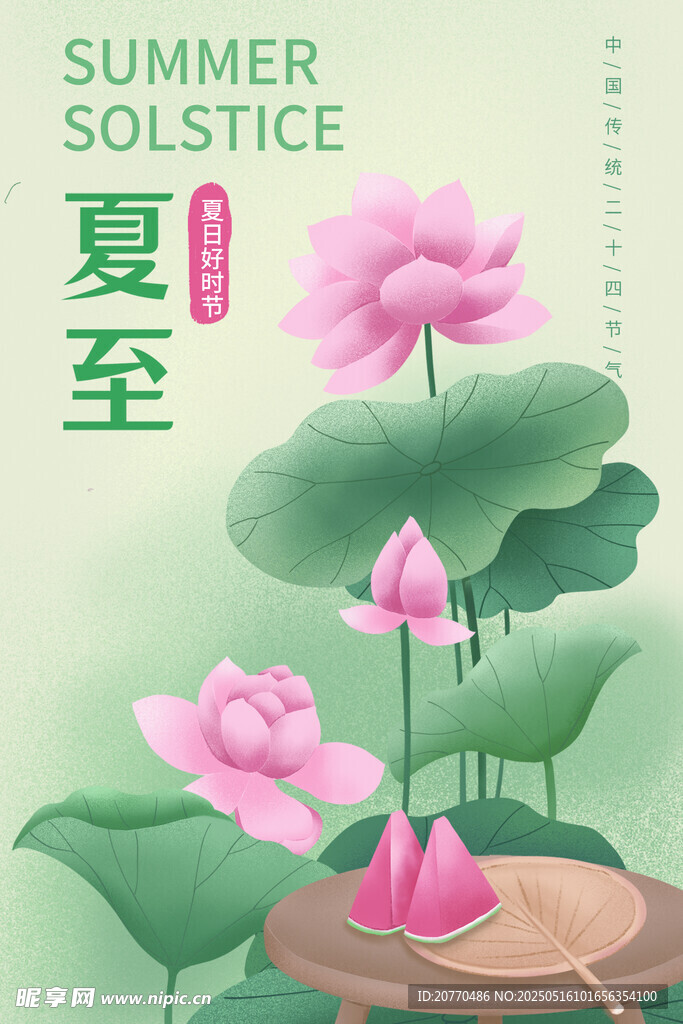 夏至荷花图
