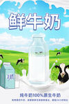 鲜牛奶