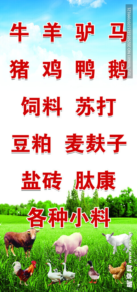 饲料