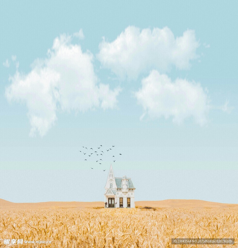 麦田中的梦幻小屋