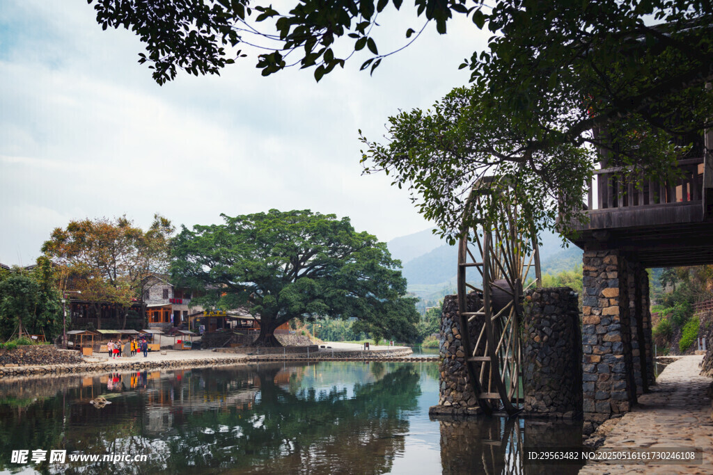 河畔美景 绿树环绕的宁静地