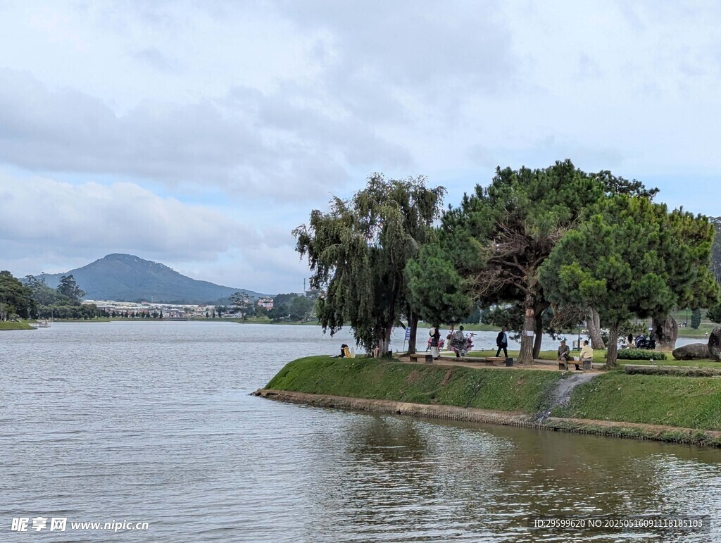 湖畔绿树成荫的美丽景致