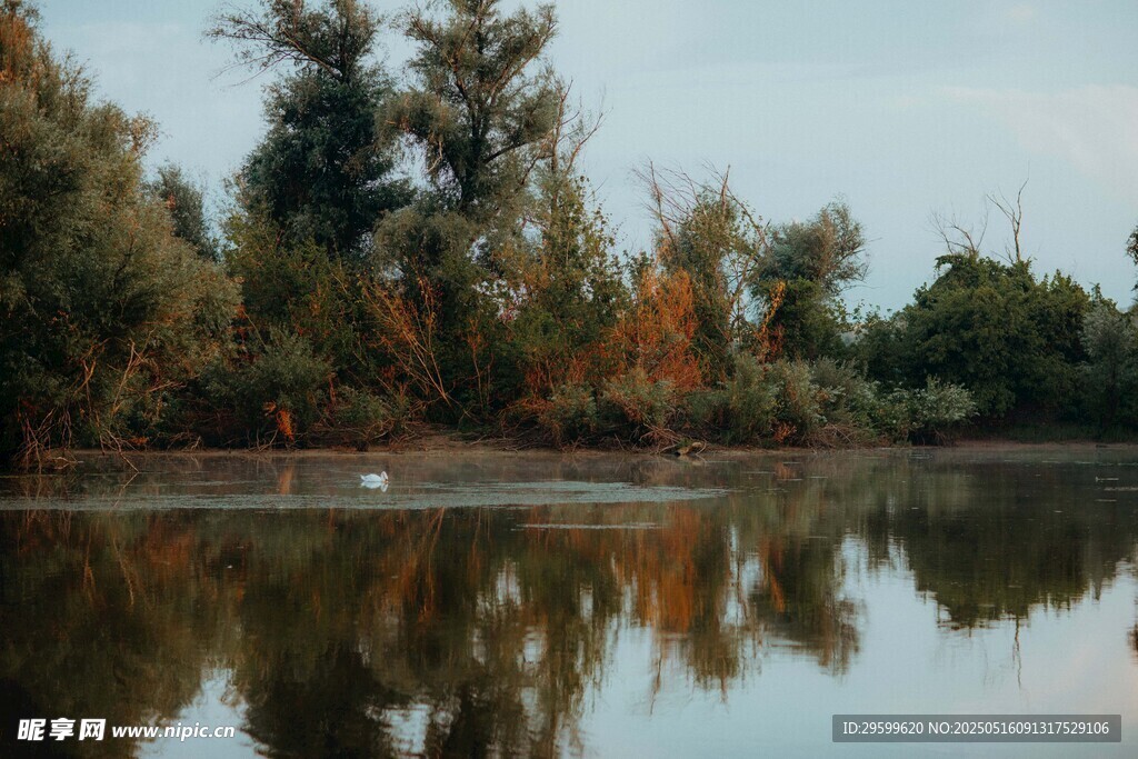 湖畔秋景 静谧自然之美