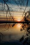湖畔夕阳垂柳美景