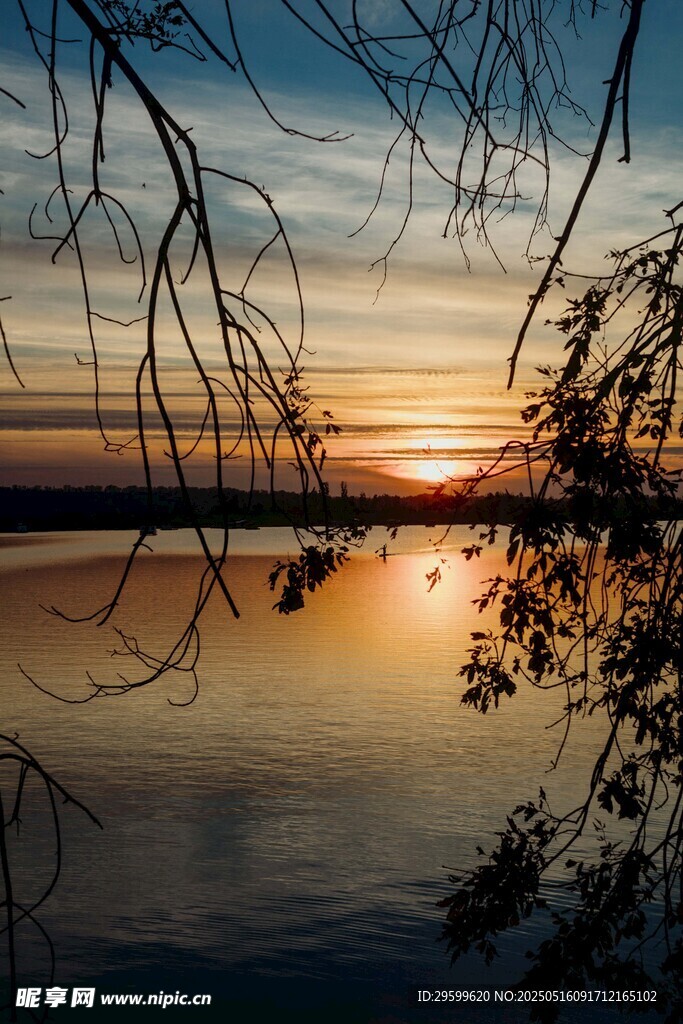 湖畔夕阳垂柳美景
