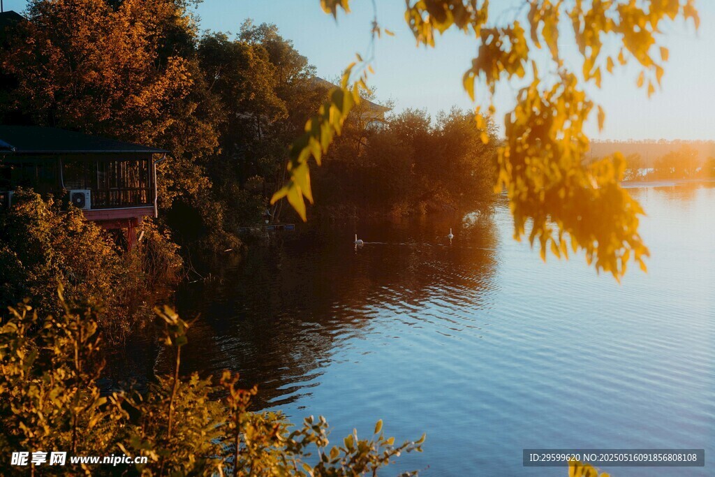 秋日河畔美景