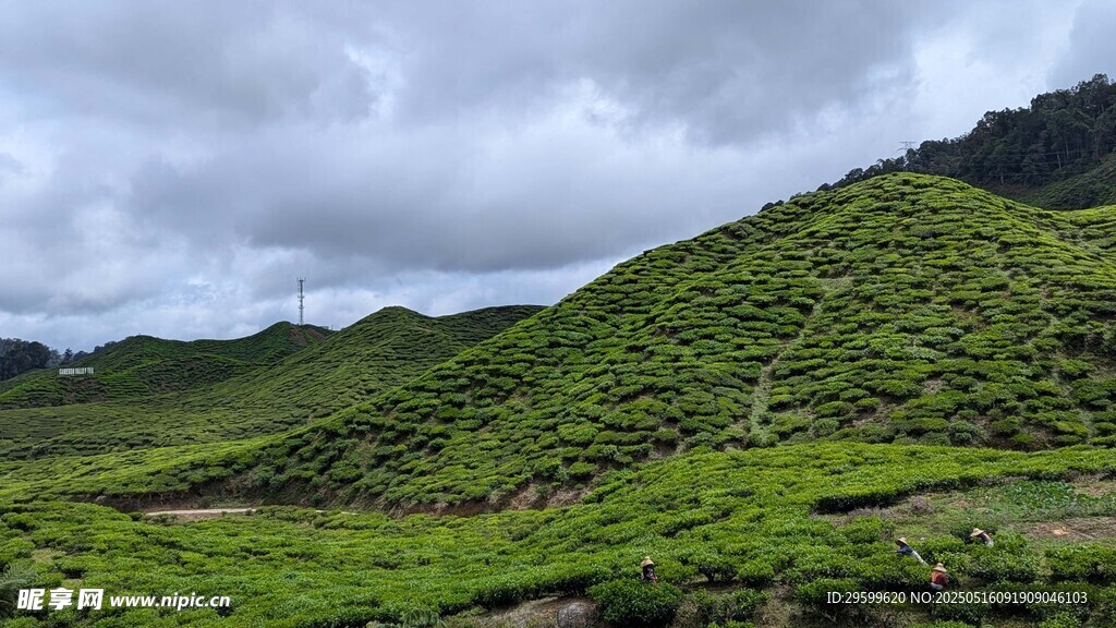 翠绿山峦间的自然美景