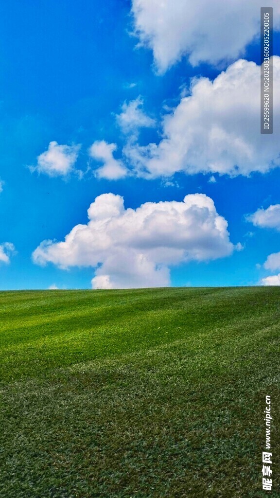 蓝天绿地美景