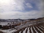 冬日雪覆农田乡村美景