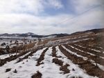 雪覆梯田的冬日山野风光