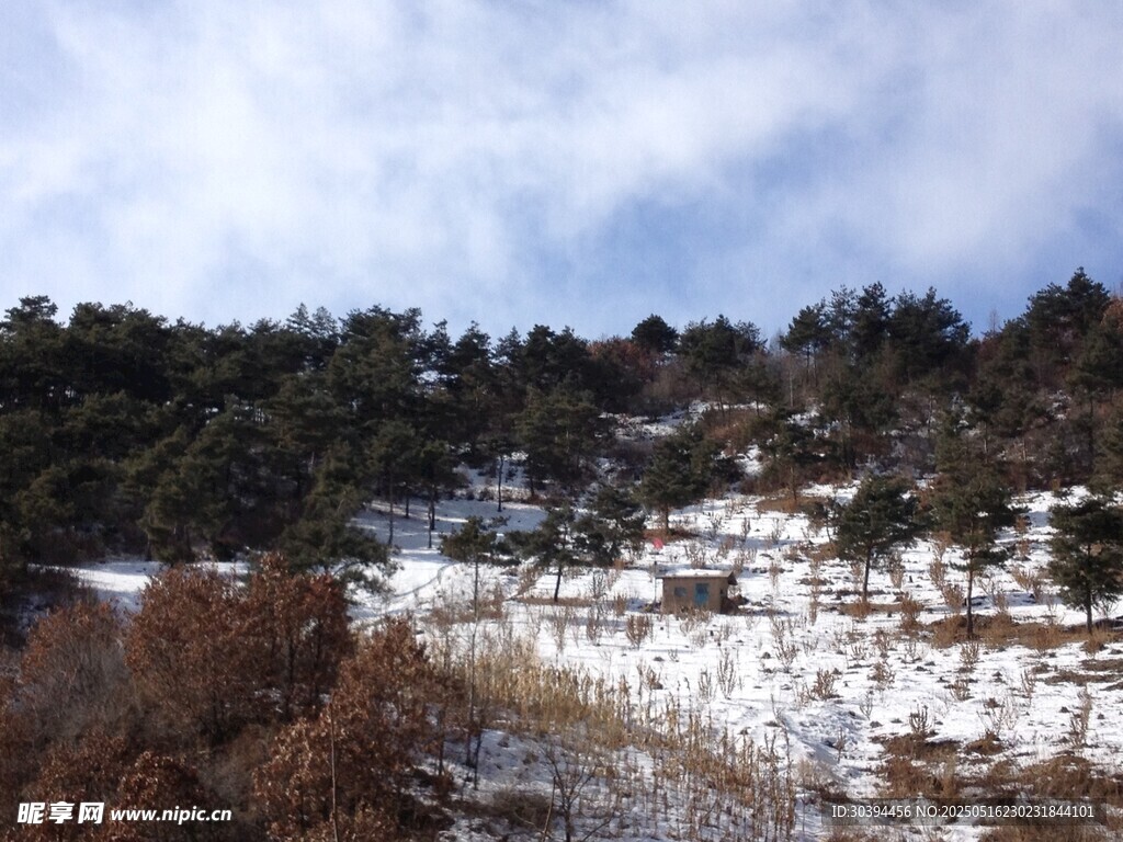雪覆山坡的冬日山林景象