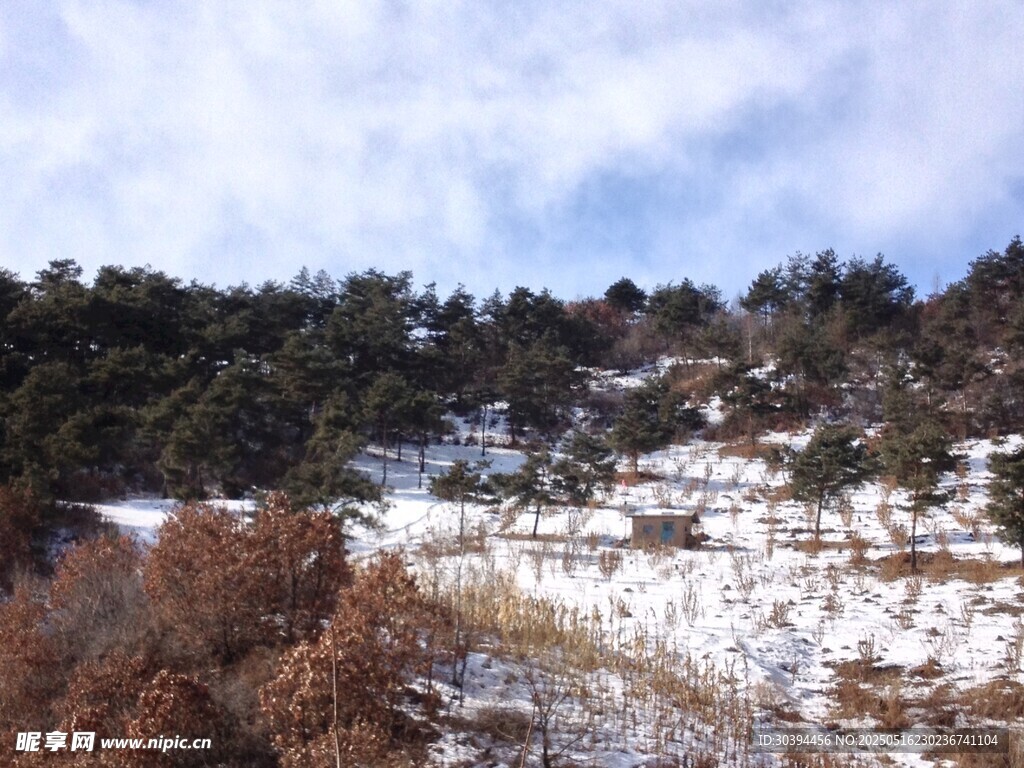 冬日雪覆山林景致