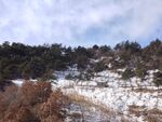 雪覆山林景致