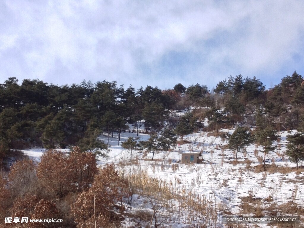 雪覆山林景致