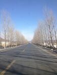冬日空旷公路景象